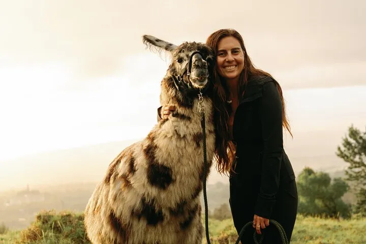 Llama Sunset Hike