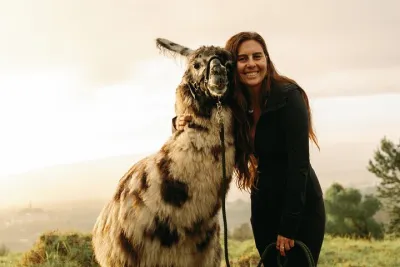 Llama Sunset Hike