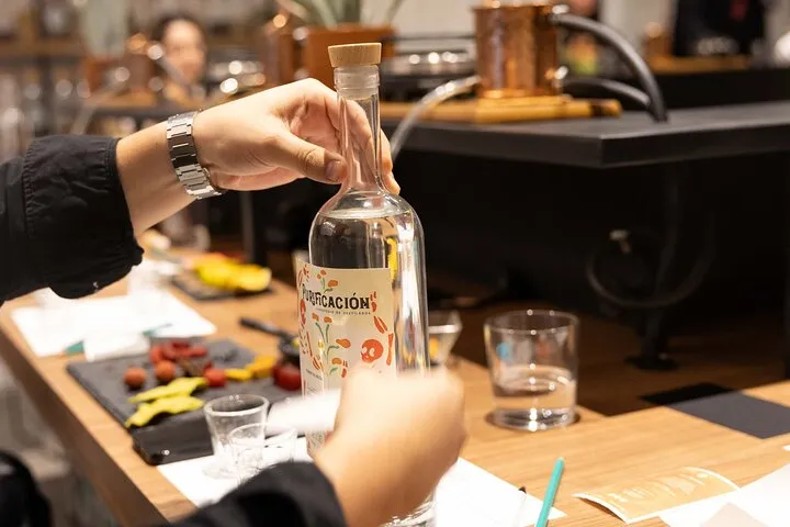 CDMX Create your Craft Mezcal from scratch - Col. Roma