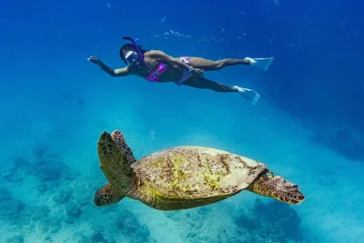 Snorkeling with Sea Turtles in Waikiki Hawaii Boat Tour