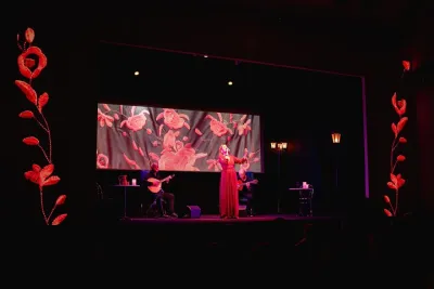 Fado in Chiado - Live Show in Lisbon on Stage for 17 Years