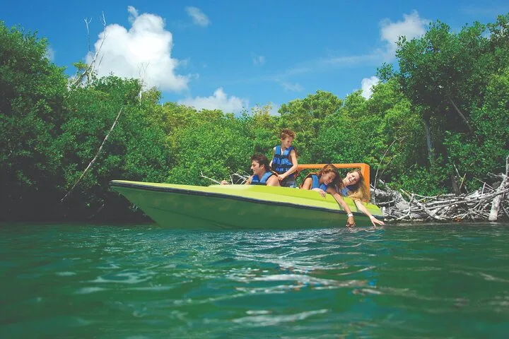 Drive Your Own Speedboat & Snorkel Tour in Cancun’s Mangroves