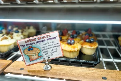 New York: Christmas Cupcake Tour and Holiday Lights