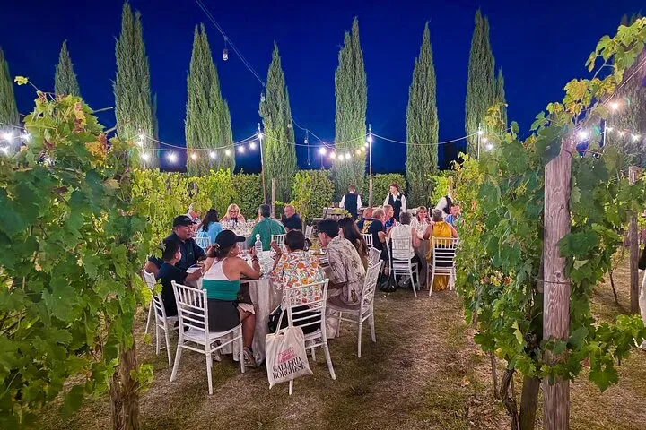 Sunset Summer Dinner Among the Vines – Small Group