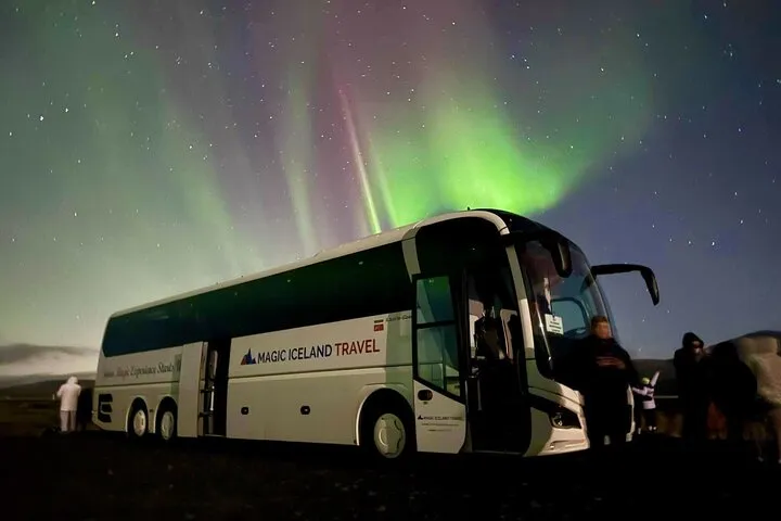 Reykjavik: Northern Lights Coach Tour with Live Forecast