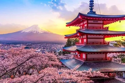 Tokyo 10 Hour Arakurayama Sengen Park & Lake Ashi Private Tour