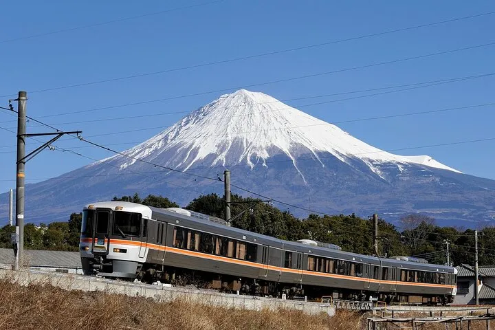Mt Fuji Views Tour by Bullet Train Hokusai Train and Wasabi Farm