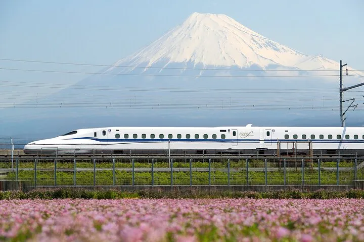 Tokyo to Kyoto Bullet Train Trip with 1-Day Subway and Bus Pass