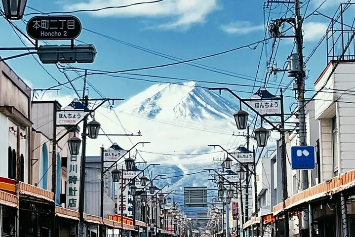 Mount Fuji, Oshino Hakkaiand,Hakone Ropeway Bus Tour Experience