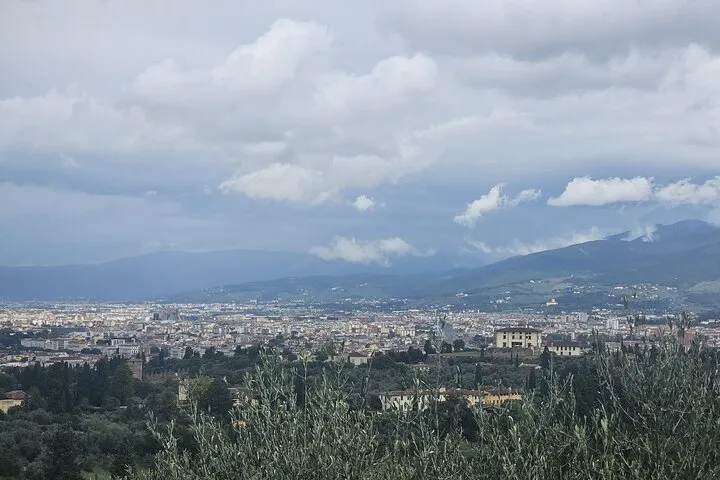 Golf Cart Tour of Florence Michelangelo & Panoramic Hills