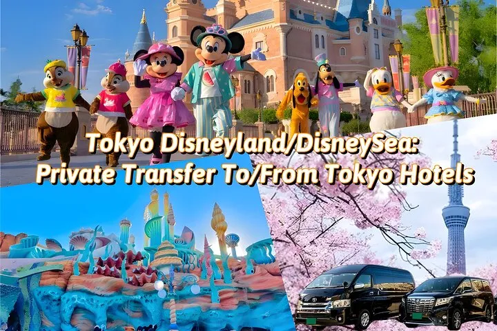 Tokyo Disneyland/DisneySea: Private Transfer To/From Tokyo Hotels