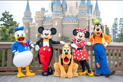 Tokyo Disneyland Ticket and Shared Transfers