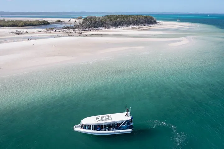 Great Sandy Straits Seven Island Ultimate Wildlife Cruise