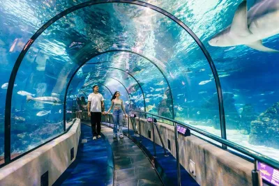 Barcelona City Tour Hop-On Hop-Off and Aquarium