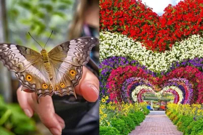 Miracle Garden Dubai Ticket deals