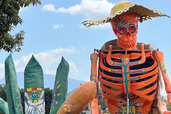 Mexico City Private Day of the Dead Tour Valle de Catrinas