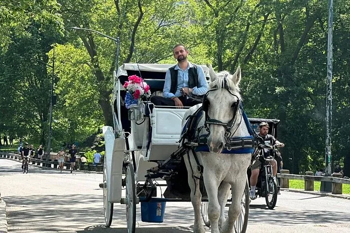 NYC Prestige Carriage Ride