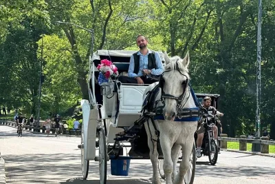 NYC Prestige Carriage Ride