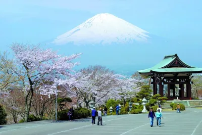 Mt. Fuji & Hakone Private Tour by Car with Licensed Guide