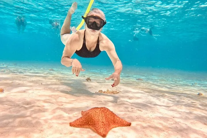 Excursion to Cozumel from Cancun