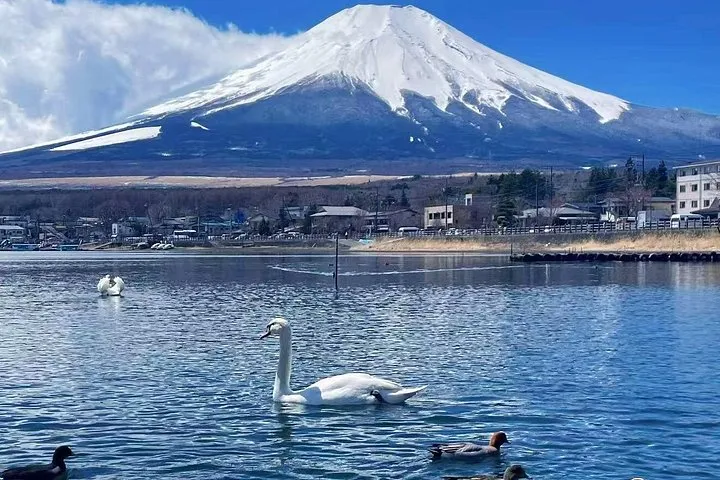 From Tokyo : Mount Fuji Private Tour With English Guide