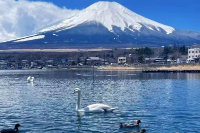 From Tokyo : Mount Fuji Private Tour With English Guide