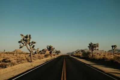Las Vegas To Los Angeles One Way Tour Joshua Tree National Park