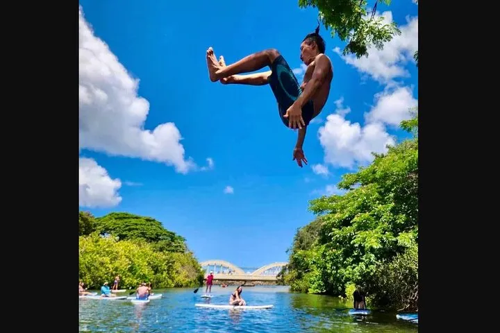 Kevo's Beach Bus Paddleboard Snorkel Adventure North Shore Oahu