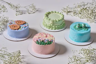 Lunchbox Cake Experience