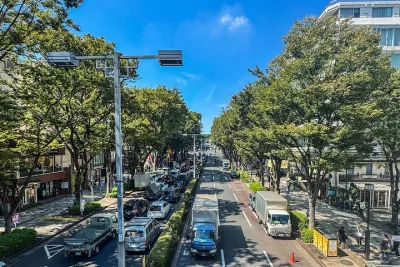 Tokyo Private Guided Day Tour with Private Vehicle Hotel Pickup