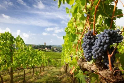 From Florence Tuscany Experience to Montepulciano and Montalcino
