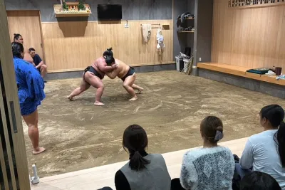 Experience Sumo Up Close