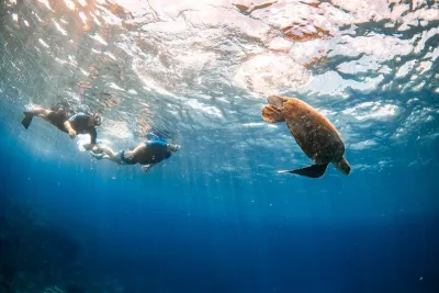 Turtle Town Snorkel with Free Photo and Video - Beginners