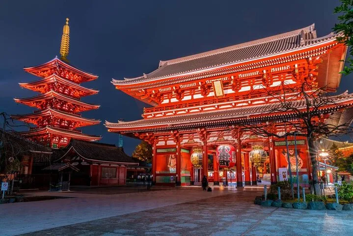 Tokyo City Private Customizable Tour with Highlights