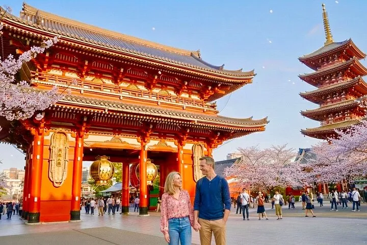 Private Curated Tour | Historical Tokyo - Ueno, Asakusa, Emperor