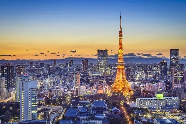 Yokohama/Tokyo Port to Disney: Ticket + Transfer & Private Tour