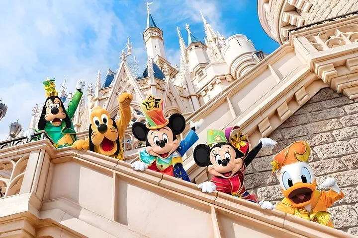 Tokyo Disney & City: Private Tour, Ticket & Airport Transfer