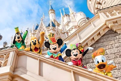 Tokyo Disney & City: Private Tour, Ticket & Airport Transfer