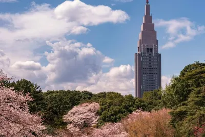 Tokyo Shinjuku Gyoen Cherry Blossom Walking Tour