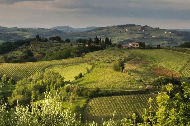 Tuscany Truffle Hunt: A Culinary Adventure