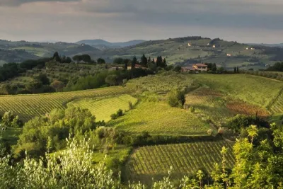 Tuscany Truffle Hunt: A Culinary Adventure