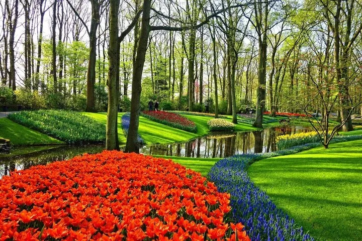 Amsterdam: Private Keukenhof & Tulip Fields Tour with Photo Stop