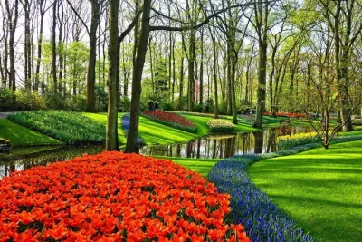 Amsterdam: Private Keukenhof & Tulip Fields Tour with Photo Stop