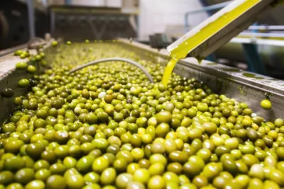 Corinth & Olive Oil Tasting Private Tour from Athens
