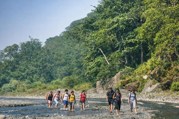 Rishikesh: Rajaji National Park Hike with Vindhyawasini Temple
