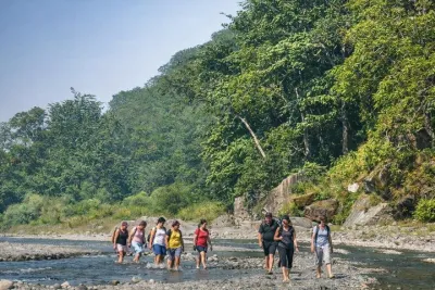 Rishikesh: Rajaji National Park Hike with Vindhyawasini Temple