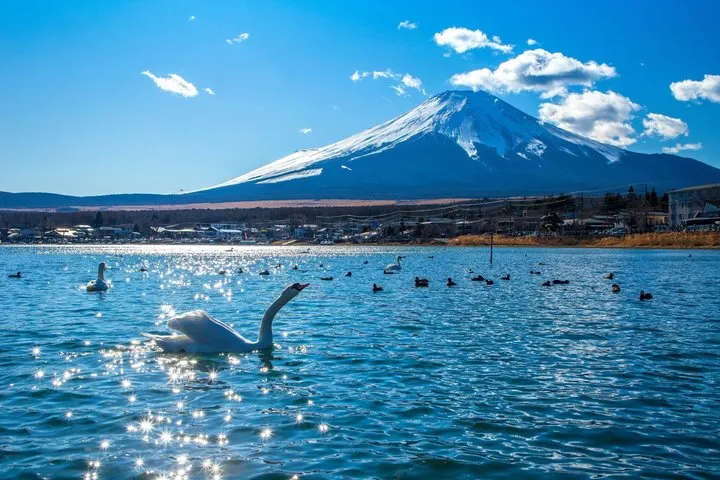 Mt. Fuji Signature 6 Scenic Spots One Day Tour from Tokyo