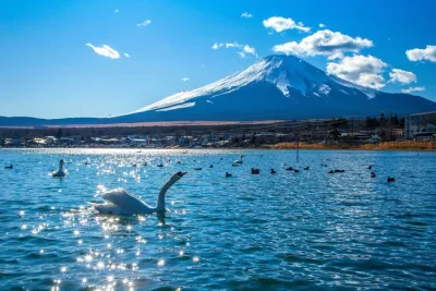 Mt. Fuji Signature 6 Scenic Spots One Day Tour from Tokyo