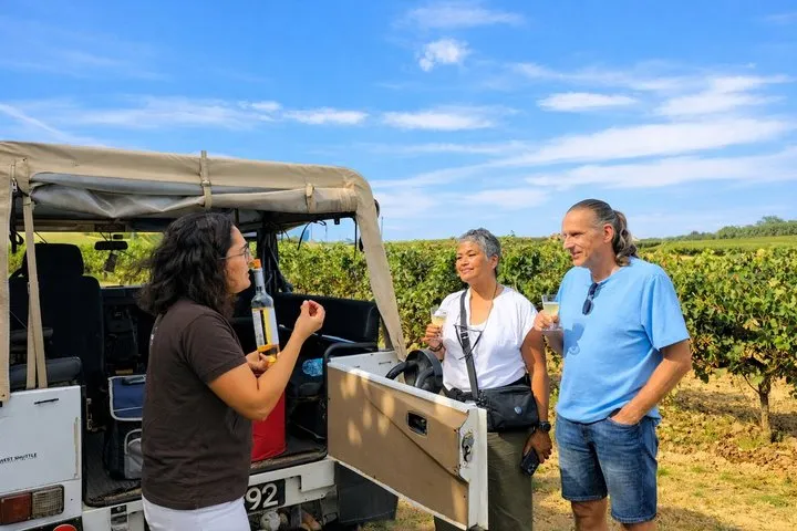 Winery, Tastings & 4x4 Vineyards Tour, Half Day Trip from Lisbon