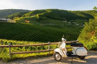 Fiesole and Florence Hills by Vespa with Olive Oil Tasting